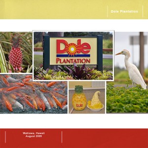 Dole Plantation