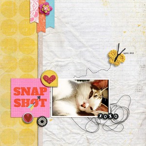 Snapshot