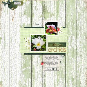 March 2016 Template Challenge