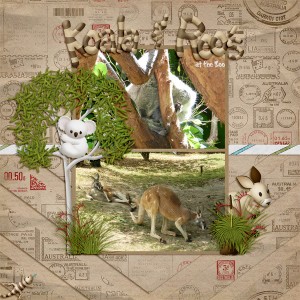 Koala&RoosAtTheZoo