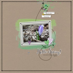 2016-3-10-crocus