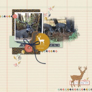 Hello Deer