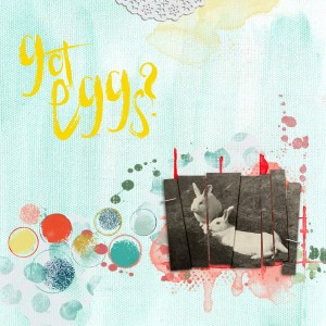 Eggs