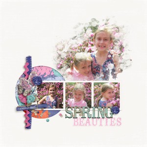 Spring Beauties