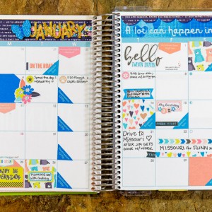 January 2016 Planner Monthly View