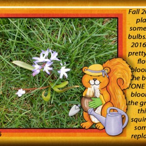 Gardener-Squirrel