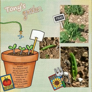 Tonys Garden