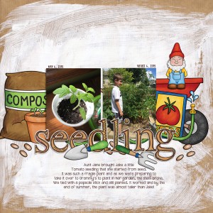 Seedling