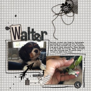 Walter | April Random Challenge