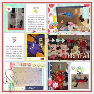 Week-7-feb-8-16-right
