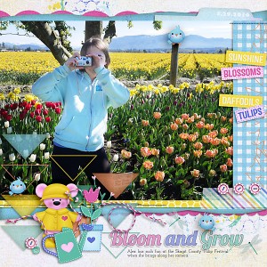Bloom & Grow Alex 2016