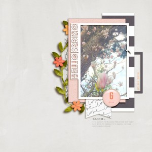 Spring In Bloom