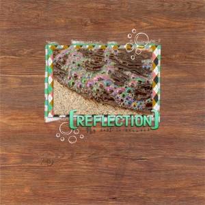 Reflection