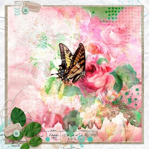 SUMMER-MEMORIES-AJ