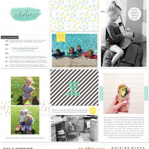 Paislee Press- Dwell