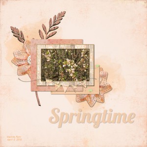 Springtime Is Blooming