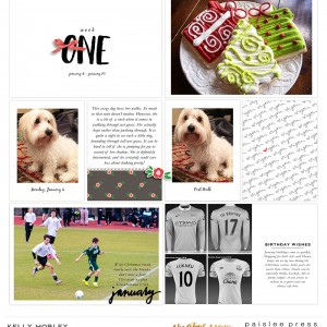 PL Wk 1 Page 1