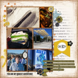 Wild June