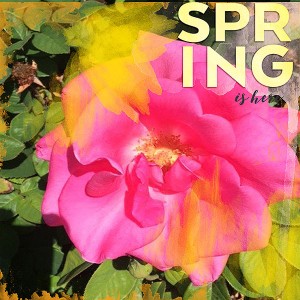 SpringWeb