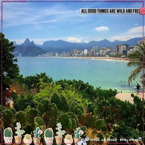 WilD Things: Rio de Janiero {continua lindo}