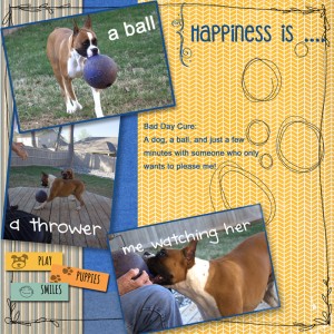 Happiness-is---inspiration
