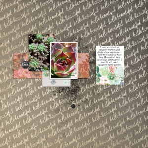 FJ_Hello_Beautiful_resize