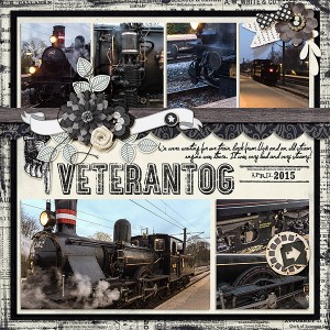 Veterantog