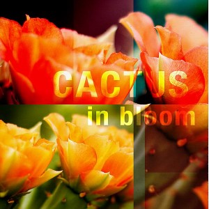 In-bloom-1-copy