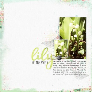 Lily of the Valley