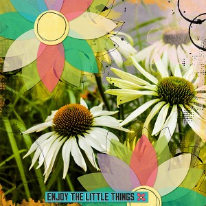 Enjoy the Little Things