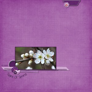 Signs-of-spring