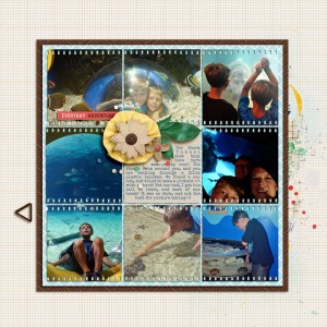 Adventure Aquarium R