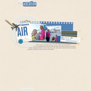 Air flight