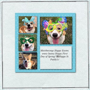 MaxthecorgWebs