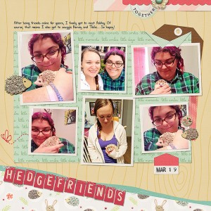 hedgefriends