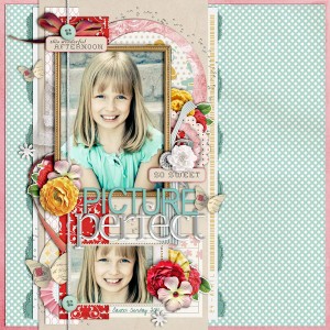 Picture Perfect
