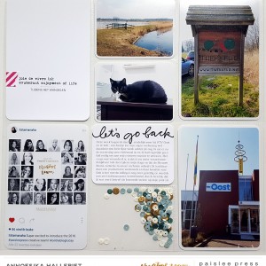 Paislee_JOIEDEVIVRE_projectbyAnnoesjka 03