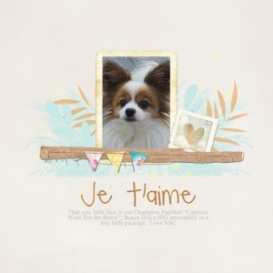 Je-t'aime