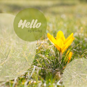 Hello, Spring!