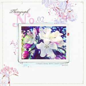 No.02