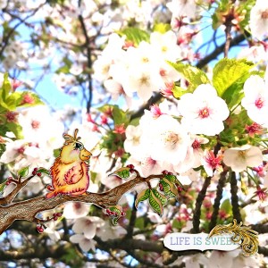 Life is sweet