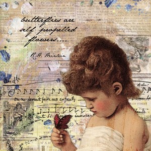Butterflies