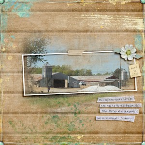 On the Farm