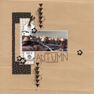 Random Challenge - Signs of Autumn