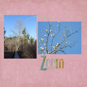 Zoom