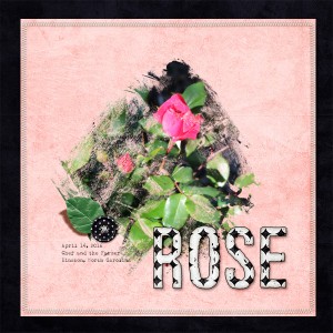 Rose (slow scrap 4/25/16)