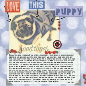 Love This Puppy
