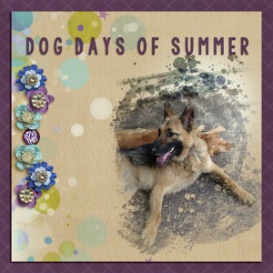 Dog Days of Summer