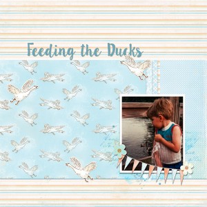 Feeding the Ducks