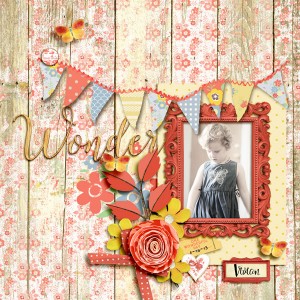 Wonder